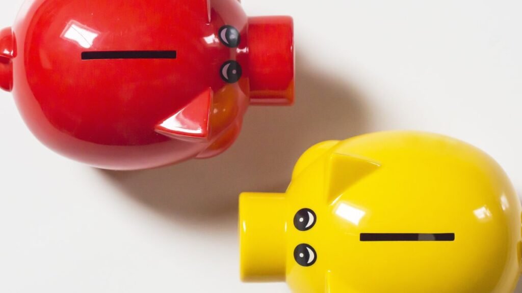 como organizar as finanças